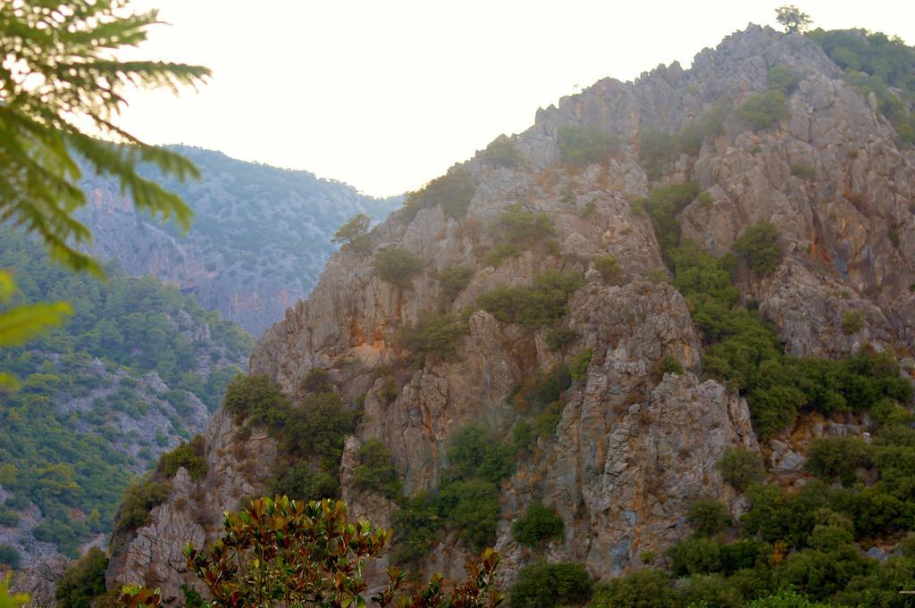 Safir Pansiyon Чирали Екстер'єр фото