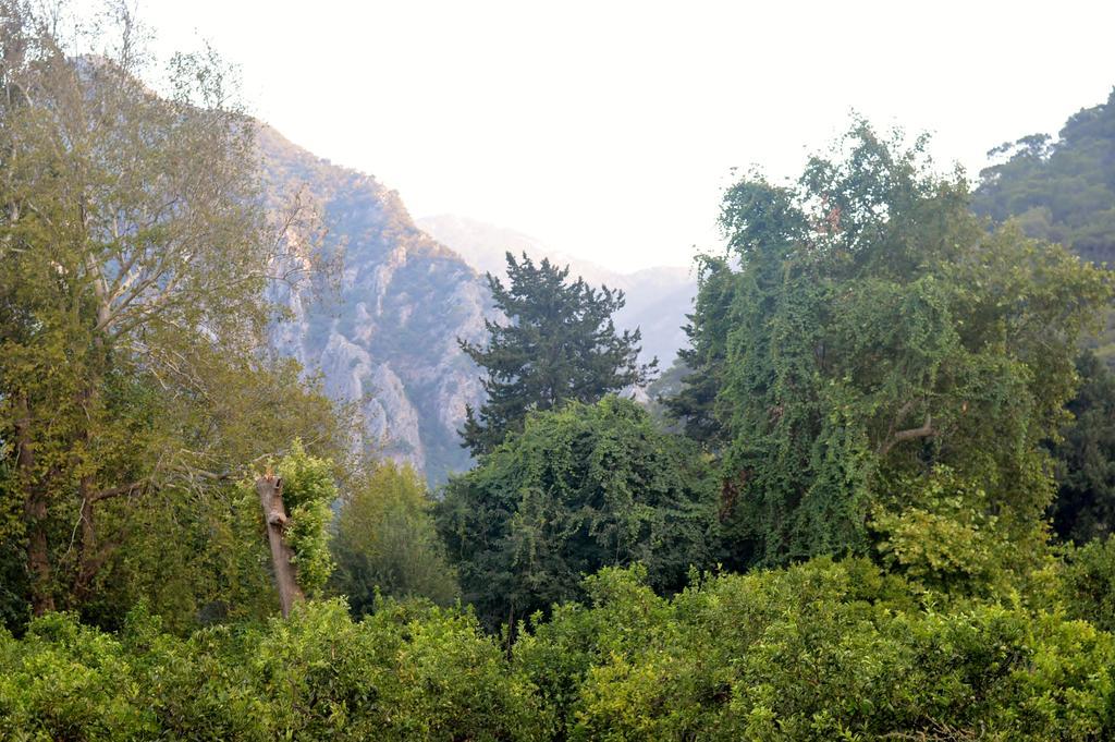 Safir Pansiyon Чирали Екстер'єр фото